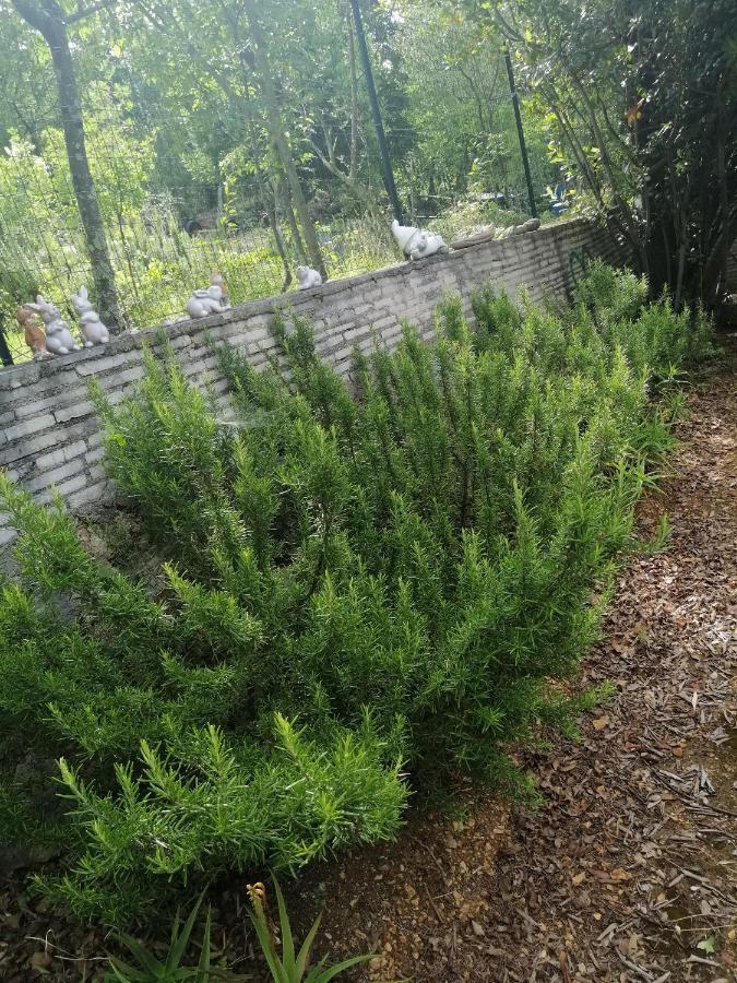 Apartments With A Parking Space Dramalj, Crikvenica - 5592 Екстериор снимка